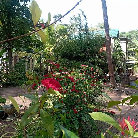 Sanjana Home Stay Habarana Zewnętrze zdjęcie