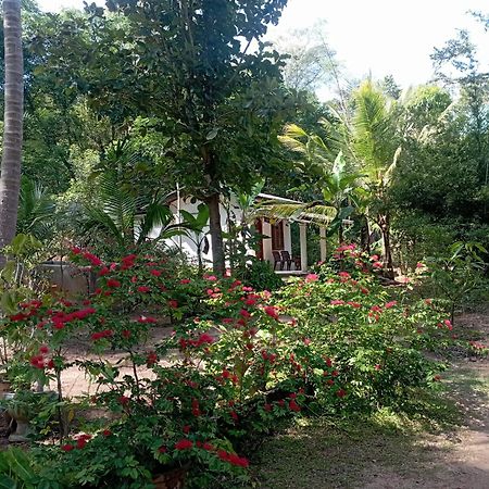 Sanjana Home Stay Habarana Zewnętrze zdjęcie