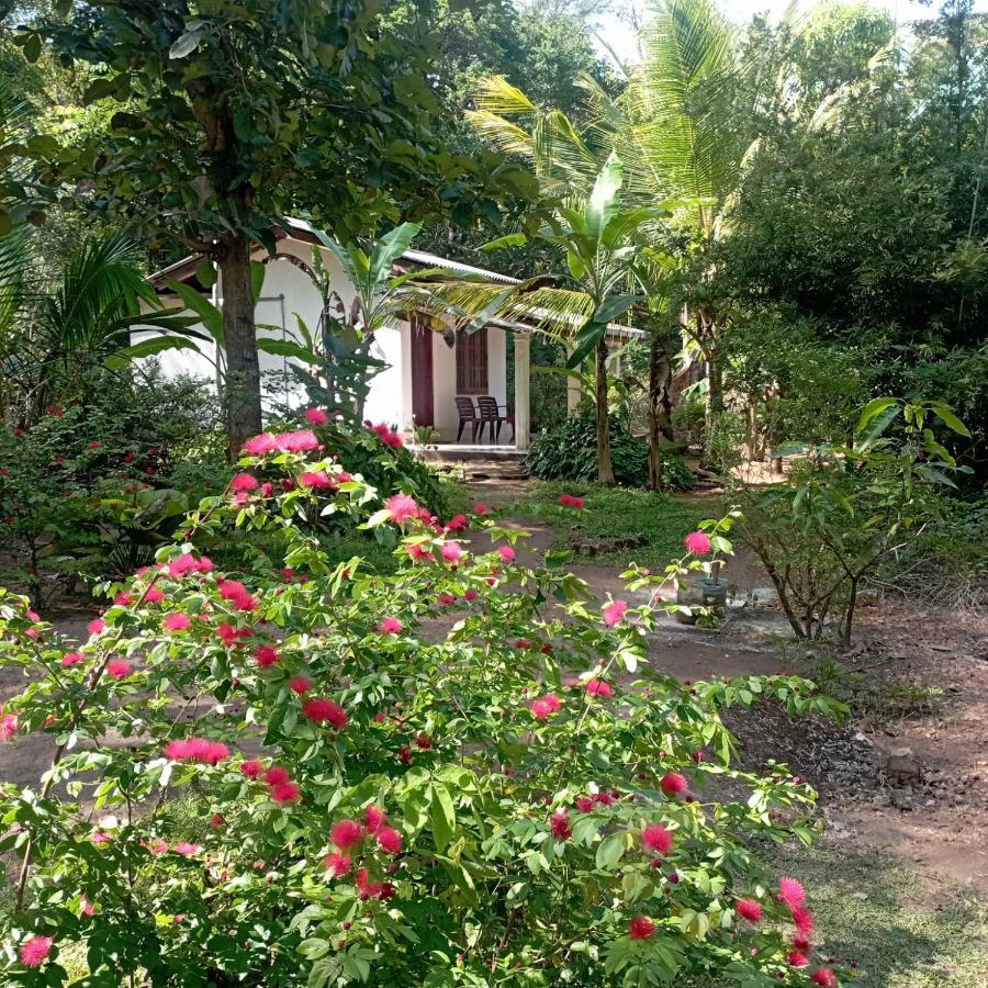 Sanjana Home Stay Habarana Zewnętrze zdjęcie