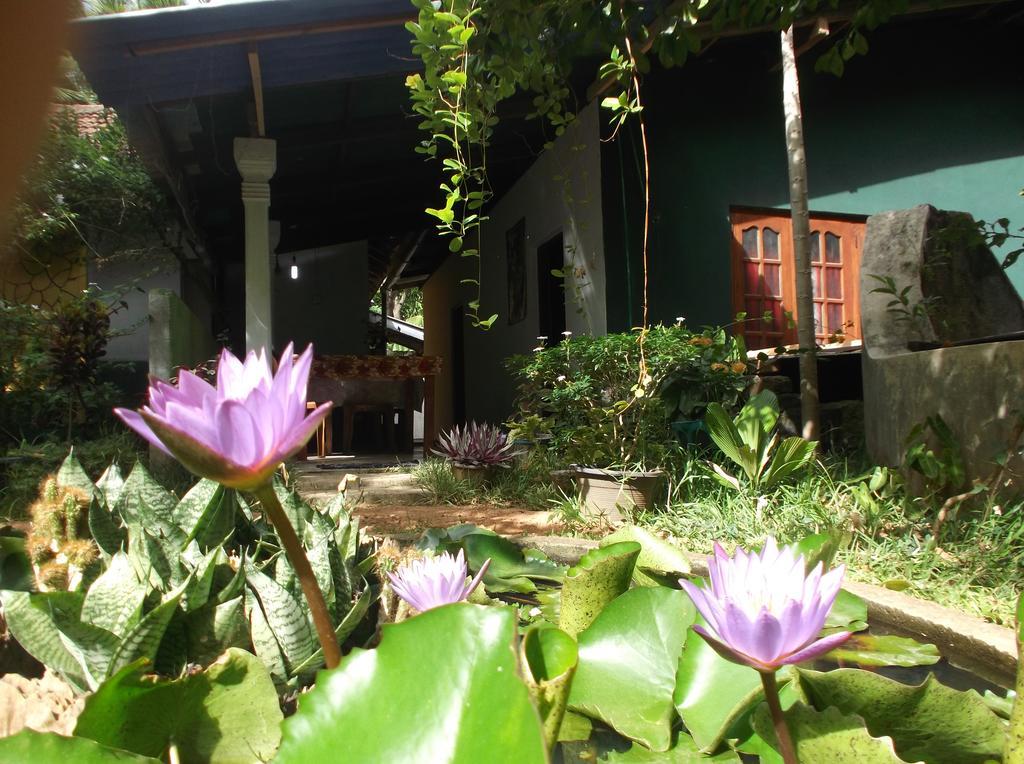 Sanjana Home Stay Habarana Zewnętrze zdjęcie
