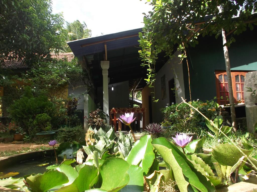 Sanjana Home Stay Habarana Zewnętrze zdjęcie