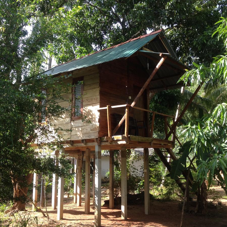 Sanjana Home Stay Habarana Zewnętrze zdjęcie